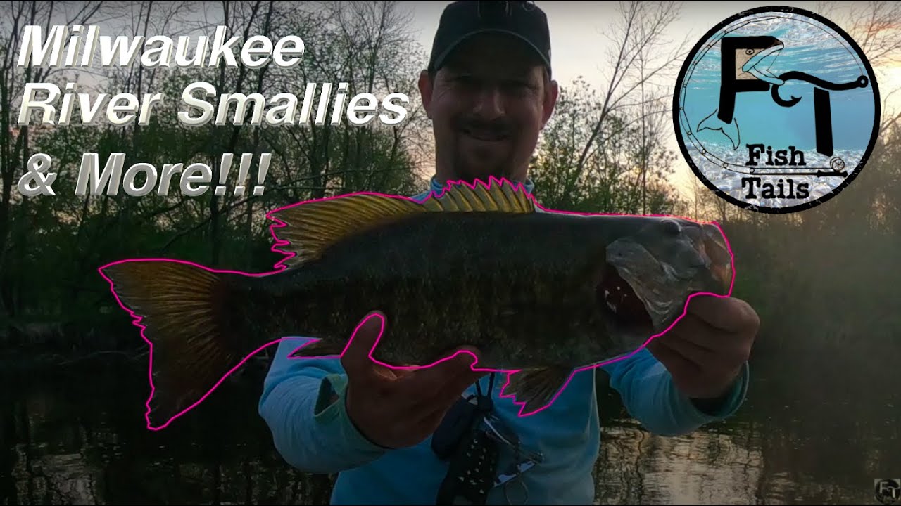Fishing Milwaukee River w/some surprise hook-ups - 