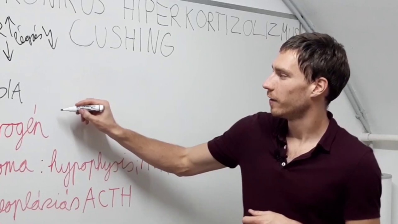Cushing - etiológia, tünetek kórélettana, laborleletek 1/2