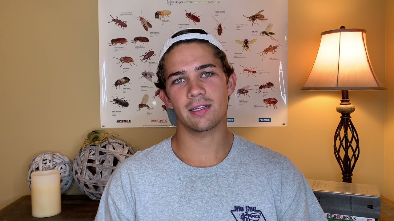 Insects I've Encountered as a Pest Control Technician - Highlights