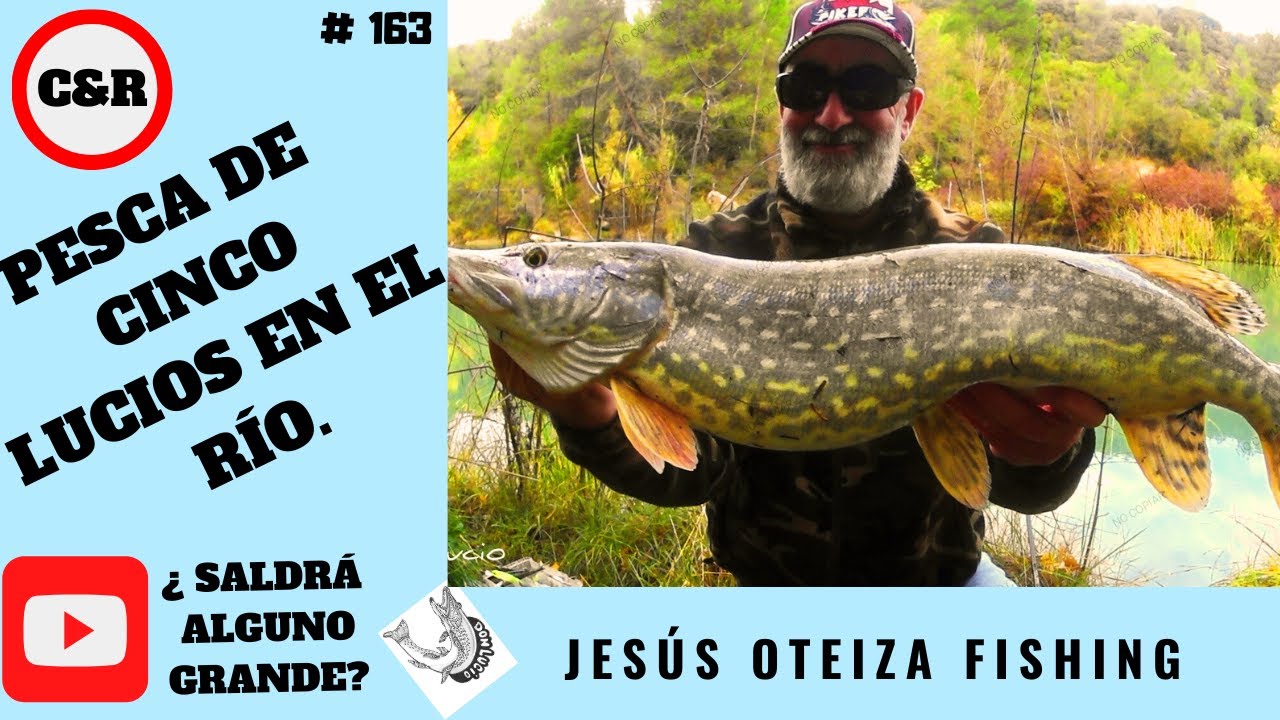 PESCA DE 5 LUCIOS EN EL RÍO. ¿SERÁ ALGUNO GRANDE?