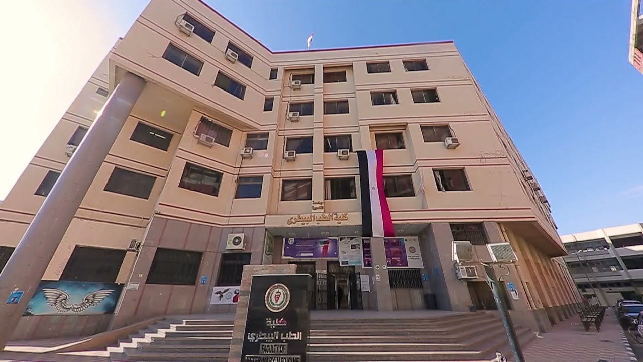 فيلم وثائقى عن كلية الطب البيطرى بمناسبة احتفالات جامعة المنصورة باليوبيل الذهبى