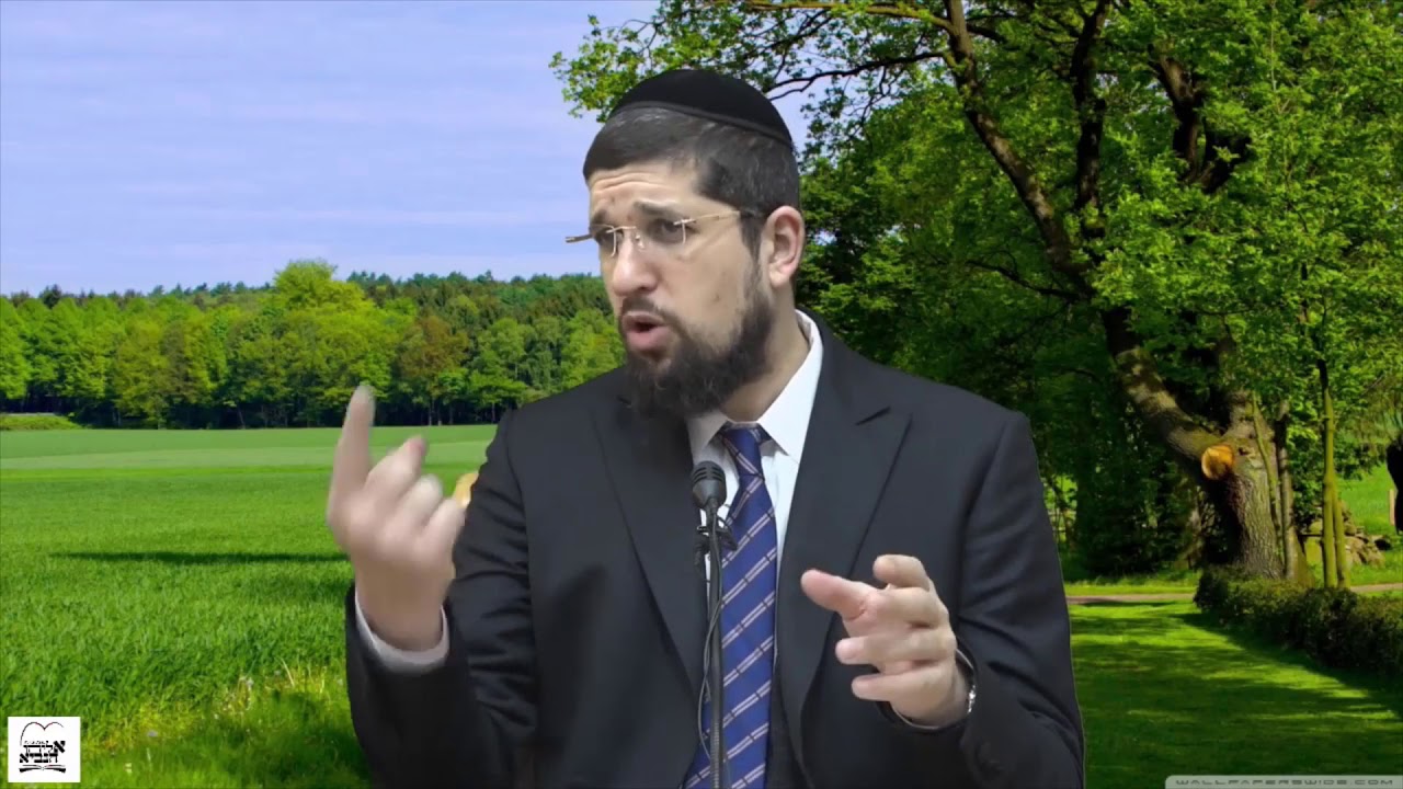 קצרים הרב אליהו עמר מדוע שאול המלך נפל על עוון אחד