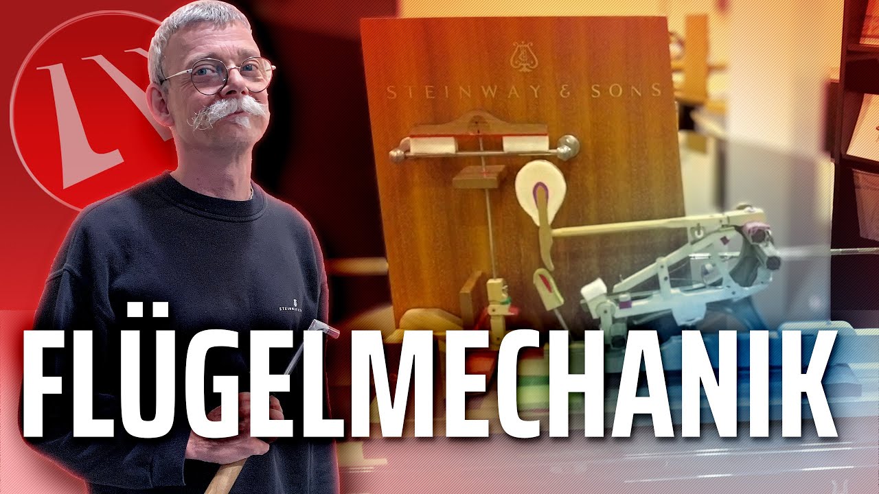 Steinway & Sons Flügel Mechanik erklärt - Maiwald - Klaviere & Flügel - Wissen - 5