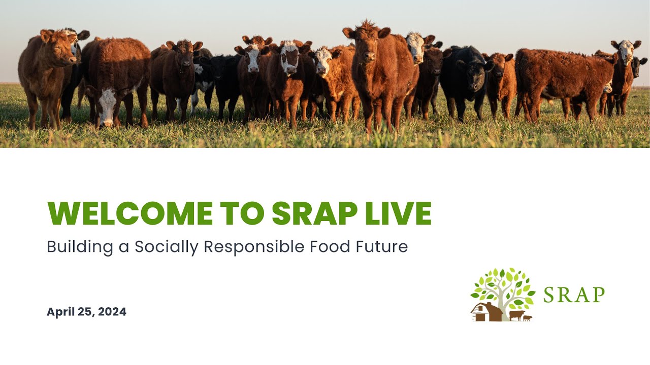SRAP Live: April 25, 2024
