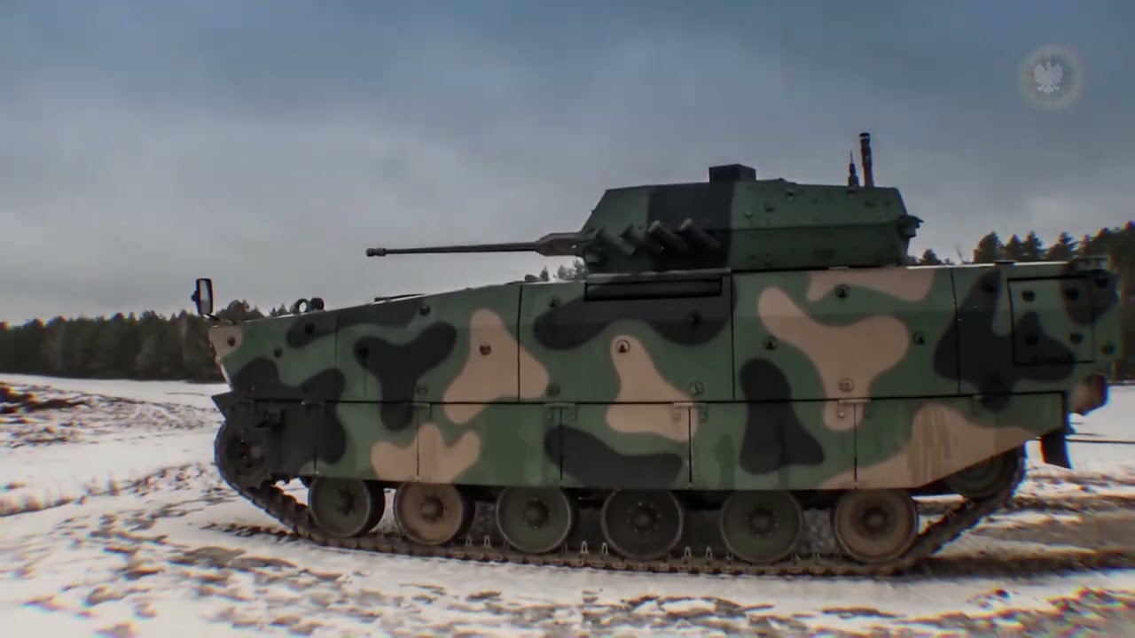 Polish Army - BWP  Borsuk