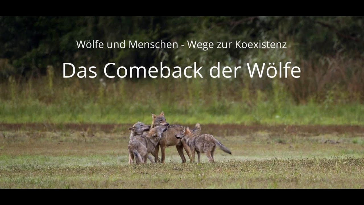 Wölfe und Menschen – Wege zur Koexistenz (Vollversion von Sebastian Körner)
