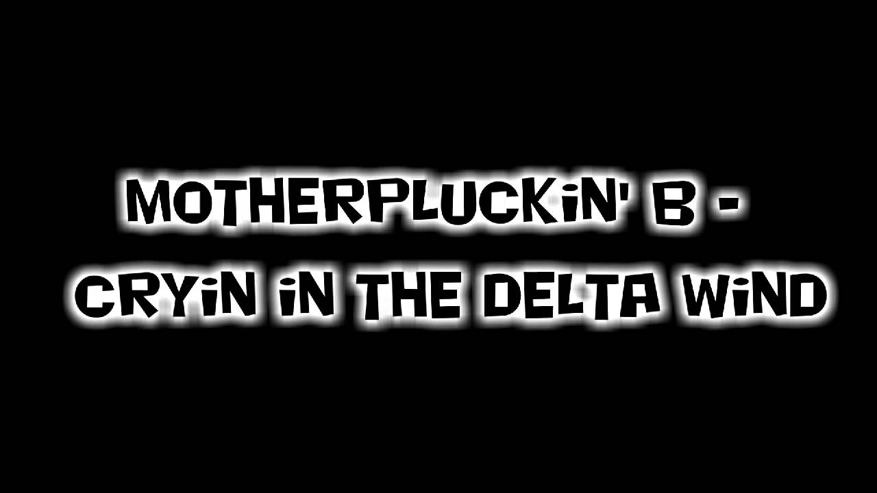 Minecraft Music #10 - Motherpluckin' B - Cryin in the Delta
