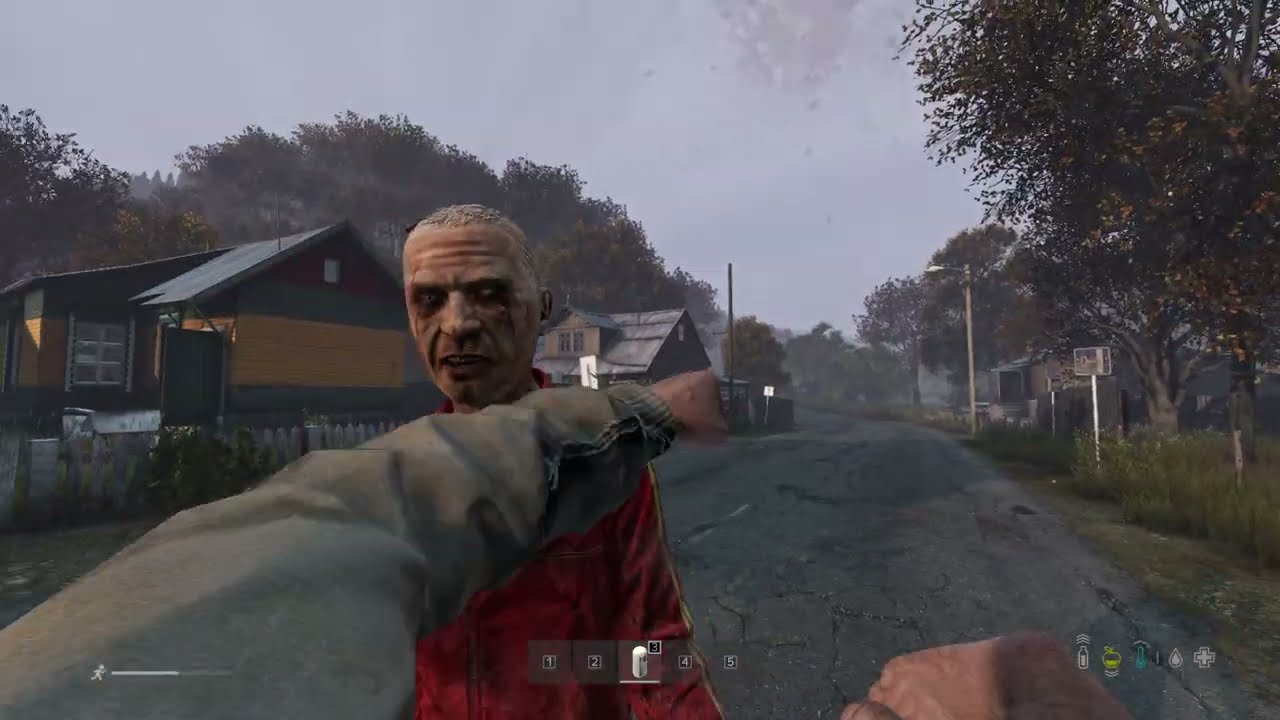DayZ : Chernarus4151 - 2026/01/17 22:15:58