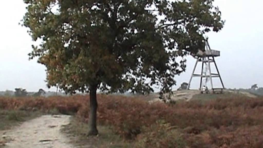 Maasduinen Afferden, op weg naar de uitkijktoren 21-10-2012