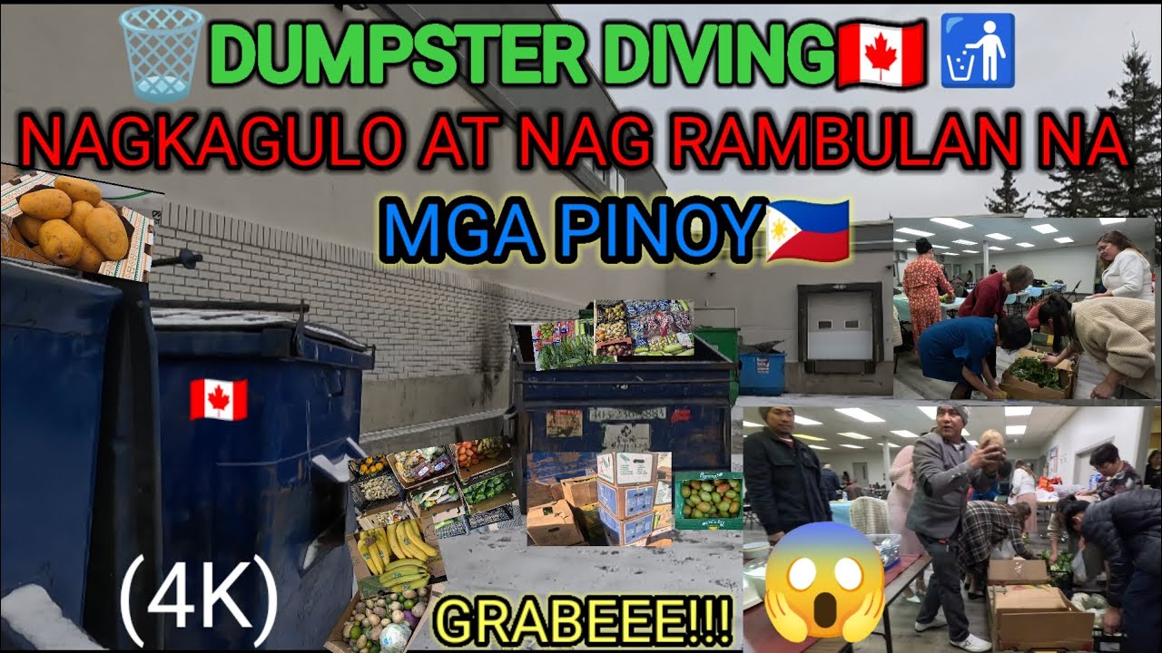 DUMPSTER DIVING🇨🇦MGA PINOY🇵🇭 NAGKAGULO SA MGA PRUTAS AT GULAY DAHIL SA SUPER JACKPOT(4K)  #trending