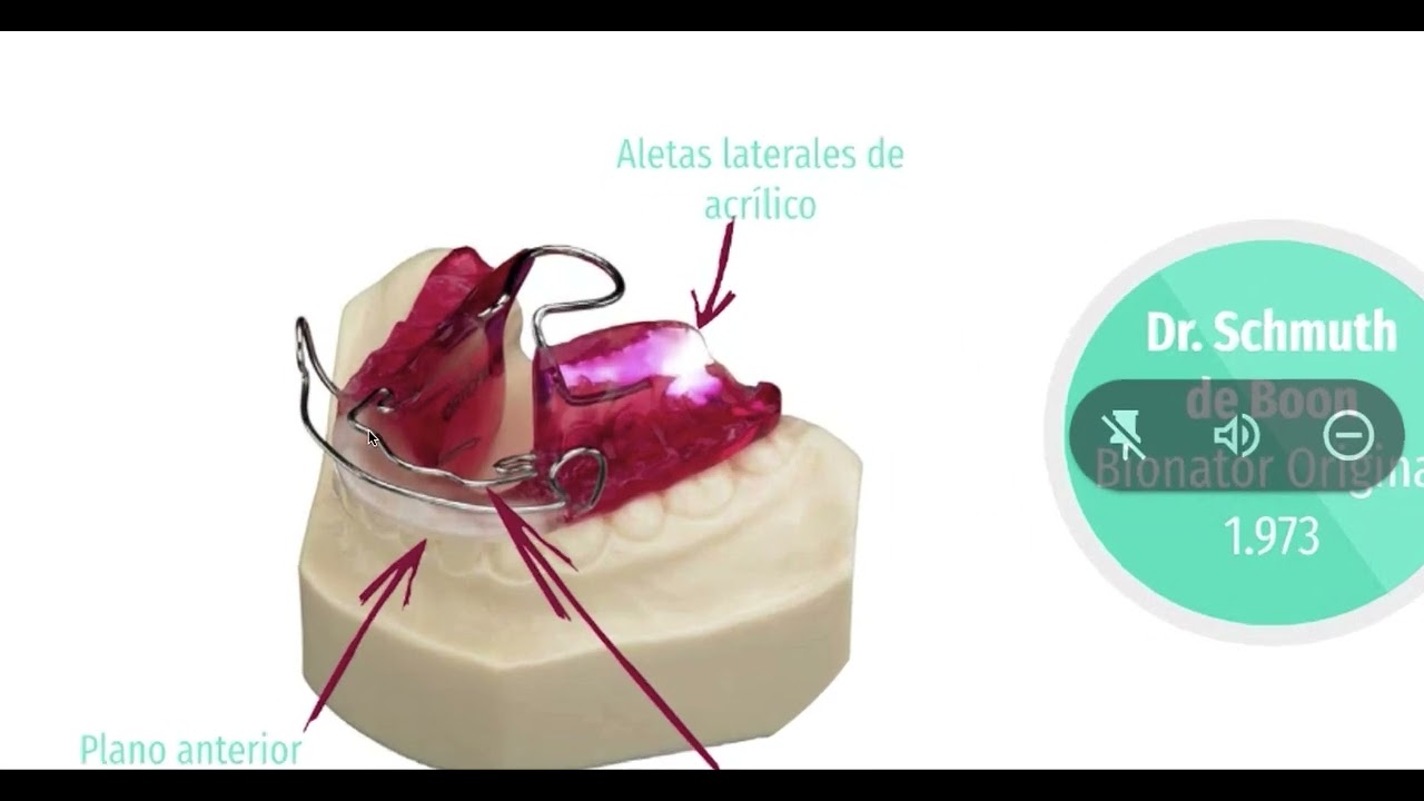 Seminario Bionator