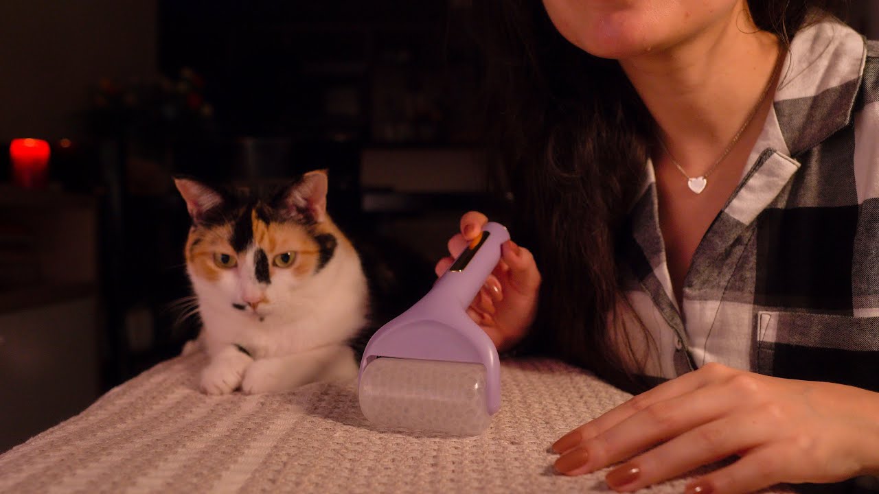 ASMR pov: massagem e chuva 🌧️🐈‍⬛ (personal attention)