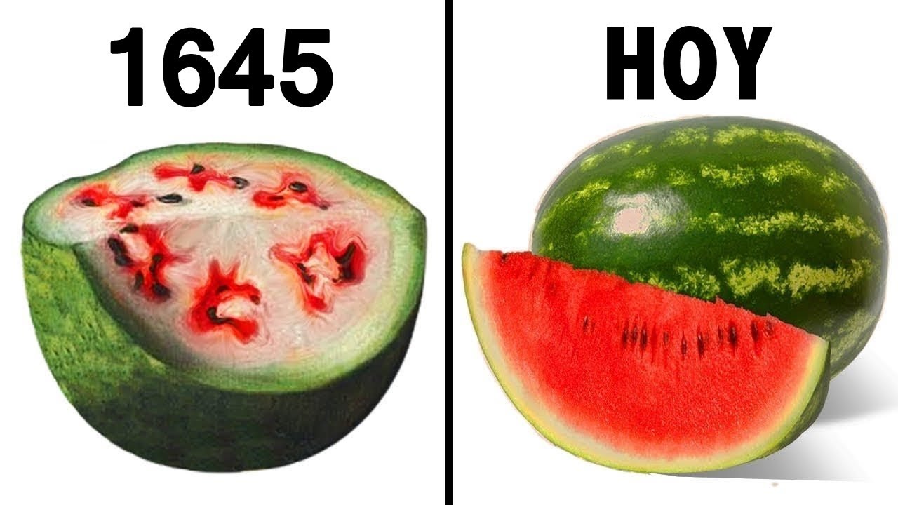 Cómo se veían las frutas y verduras de la antigüedad