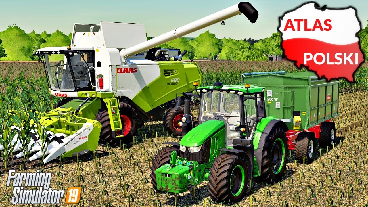Kukurydza na ziarno - ZDZIECHÓW ☆ FS 19 ☆ Atlas Polski ㋡ Anton