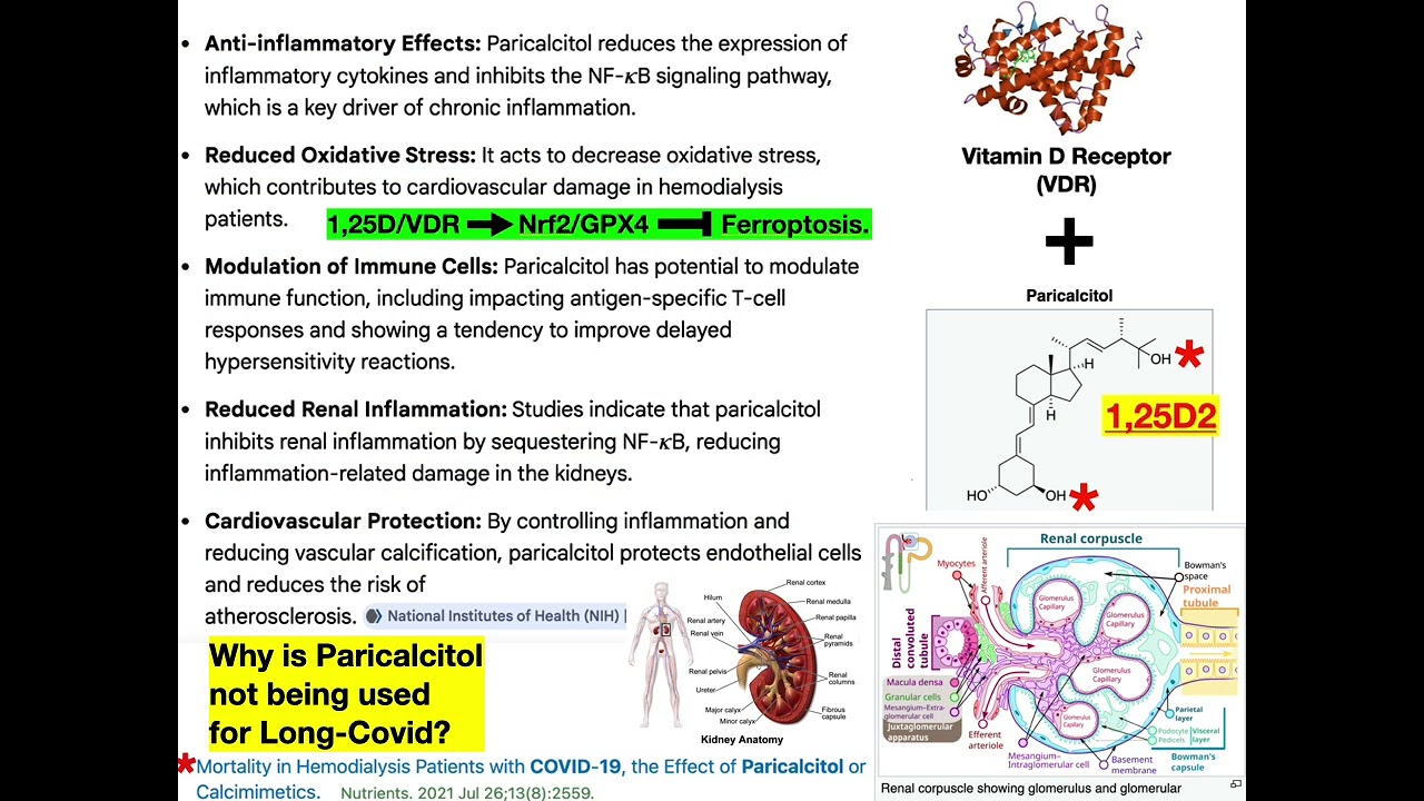 Paricalcitol for IACC-Conditions, Short Overview.