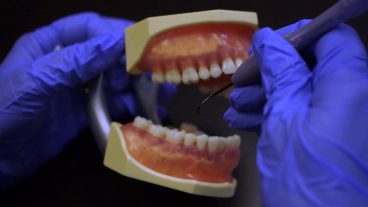 How to use the Sharp Jack Universal Scaler