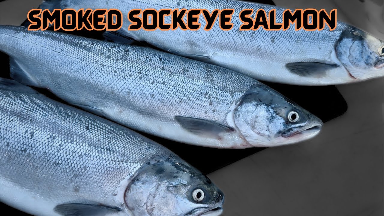 Smoked Sockeye Salmon part 2