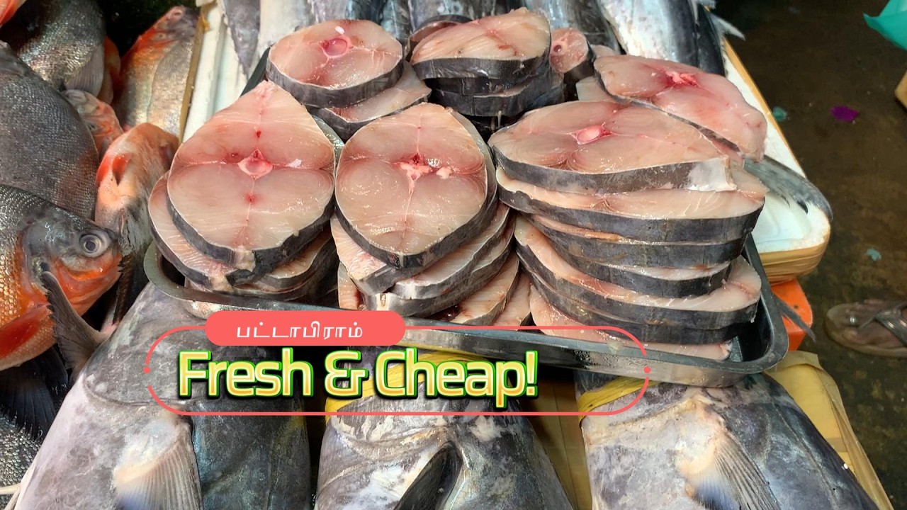 PATTABIRAM FISH MARKET CHENNAI VISIT
