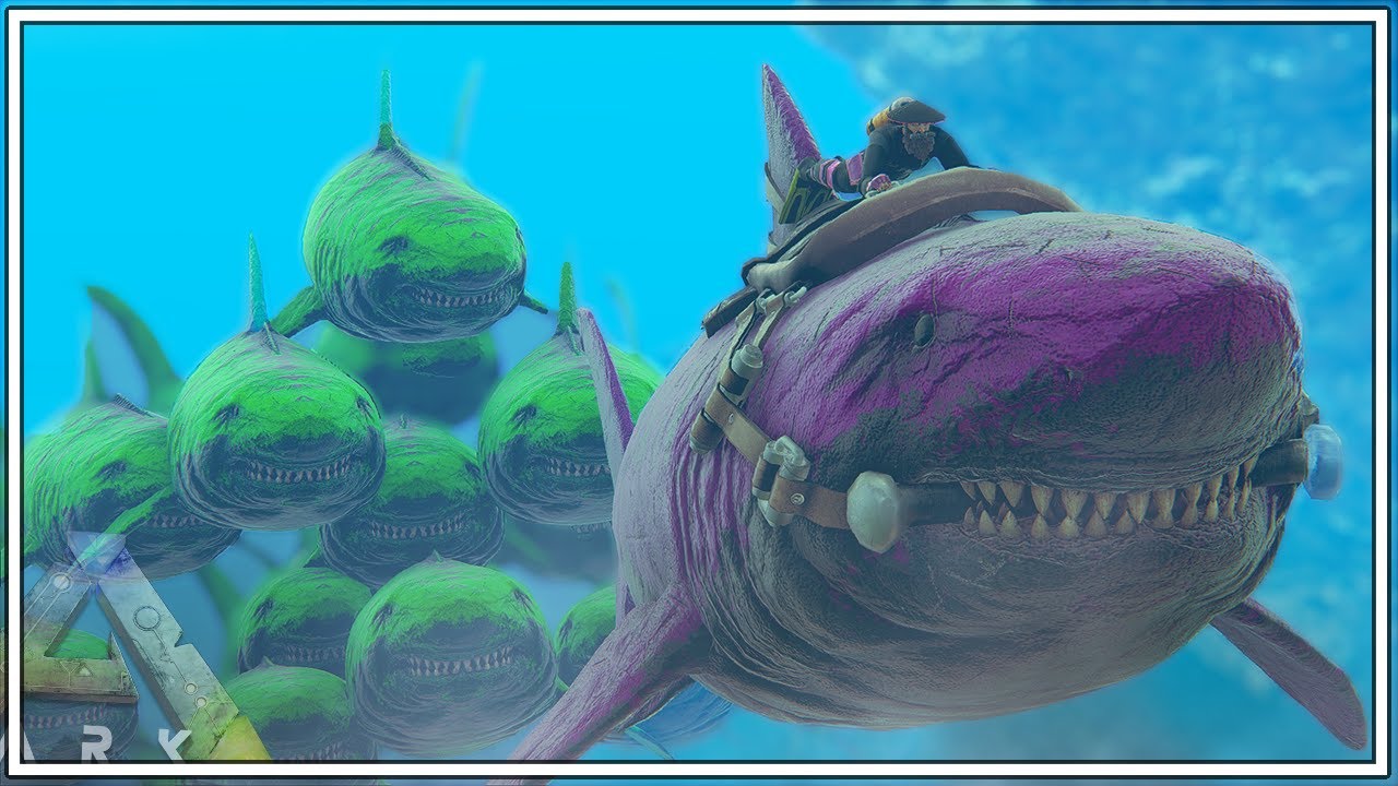 WE TAKE A SWIM IN THE OCEAN AND THEN THIS HAPPENS... | ARK Caballus [Episode 36]