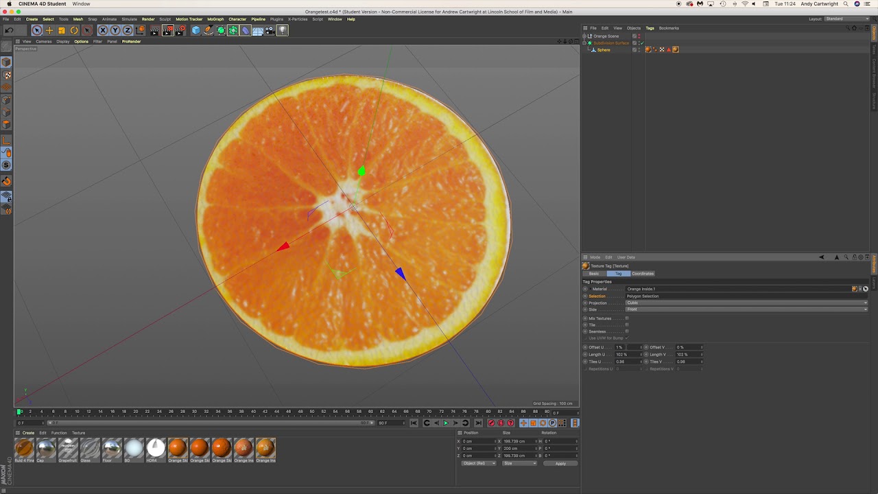 Fruit Modelling