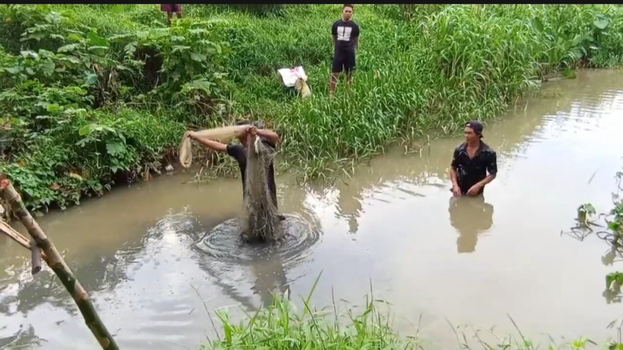 Keseruan Menjala Ikan di Sungai || MENJALA IKAN DI SUNGAI