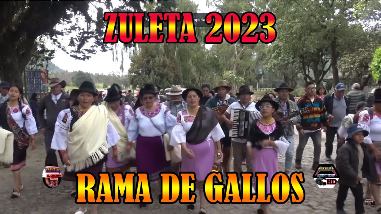 ZULETA   2023 // RAMA DE GALLOS .