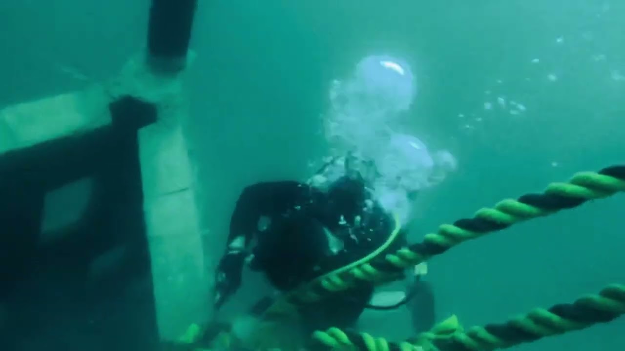 Assisting Reef Makers!!