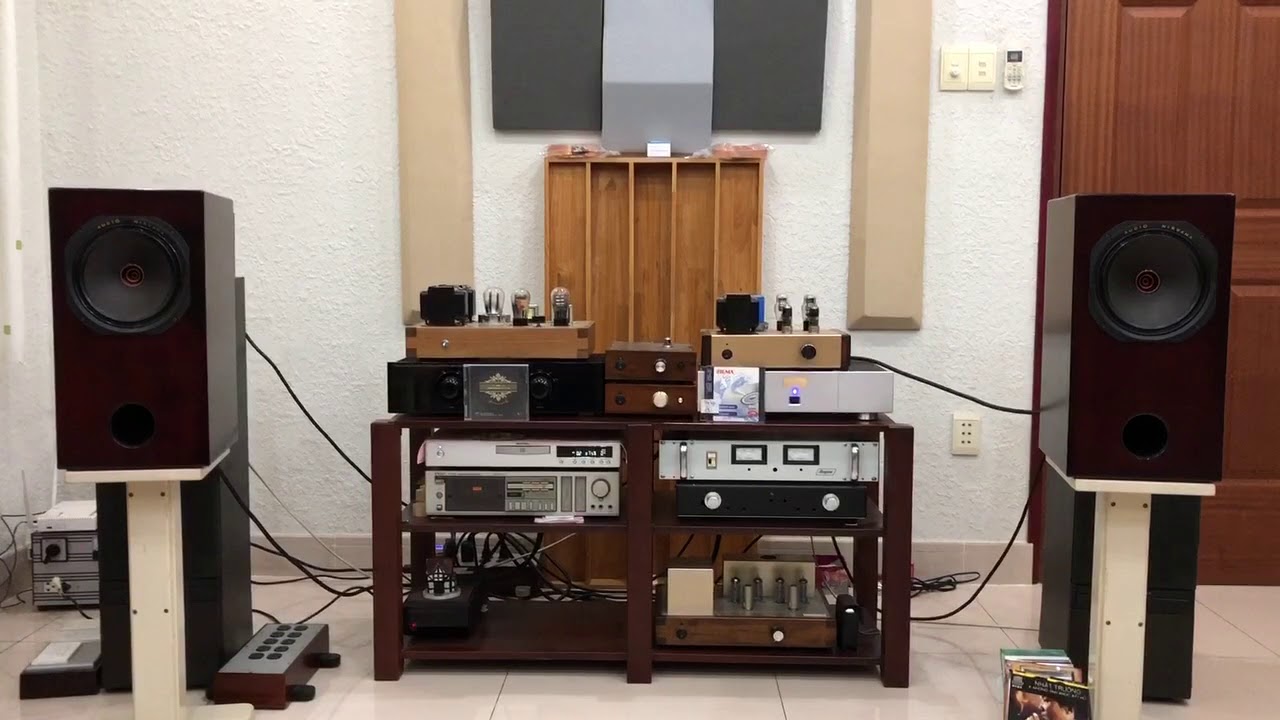 Audio Nirvana Coaxial 8” bookshelf