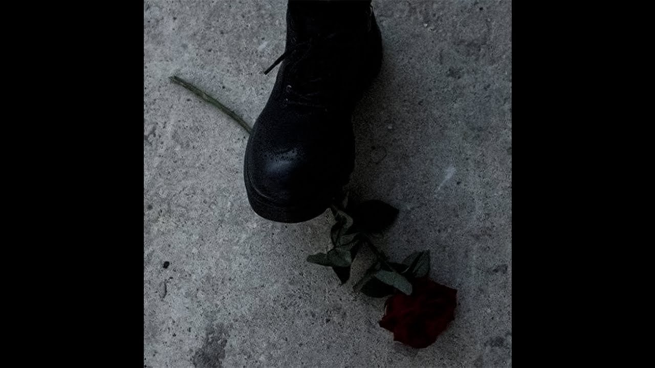 [free] acoustic guitar / lizzy mcalpine type beat ~ 