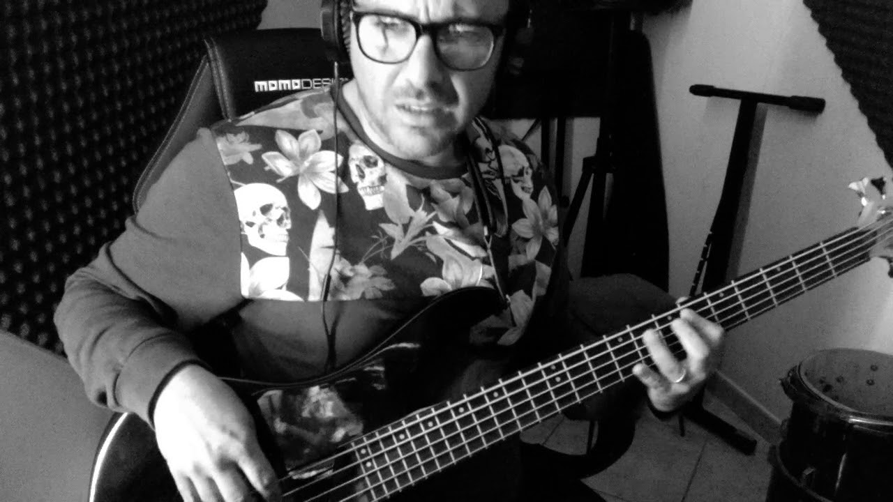 brivido felino G BASS