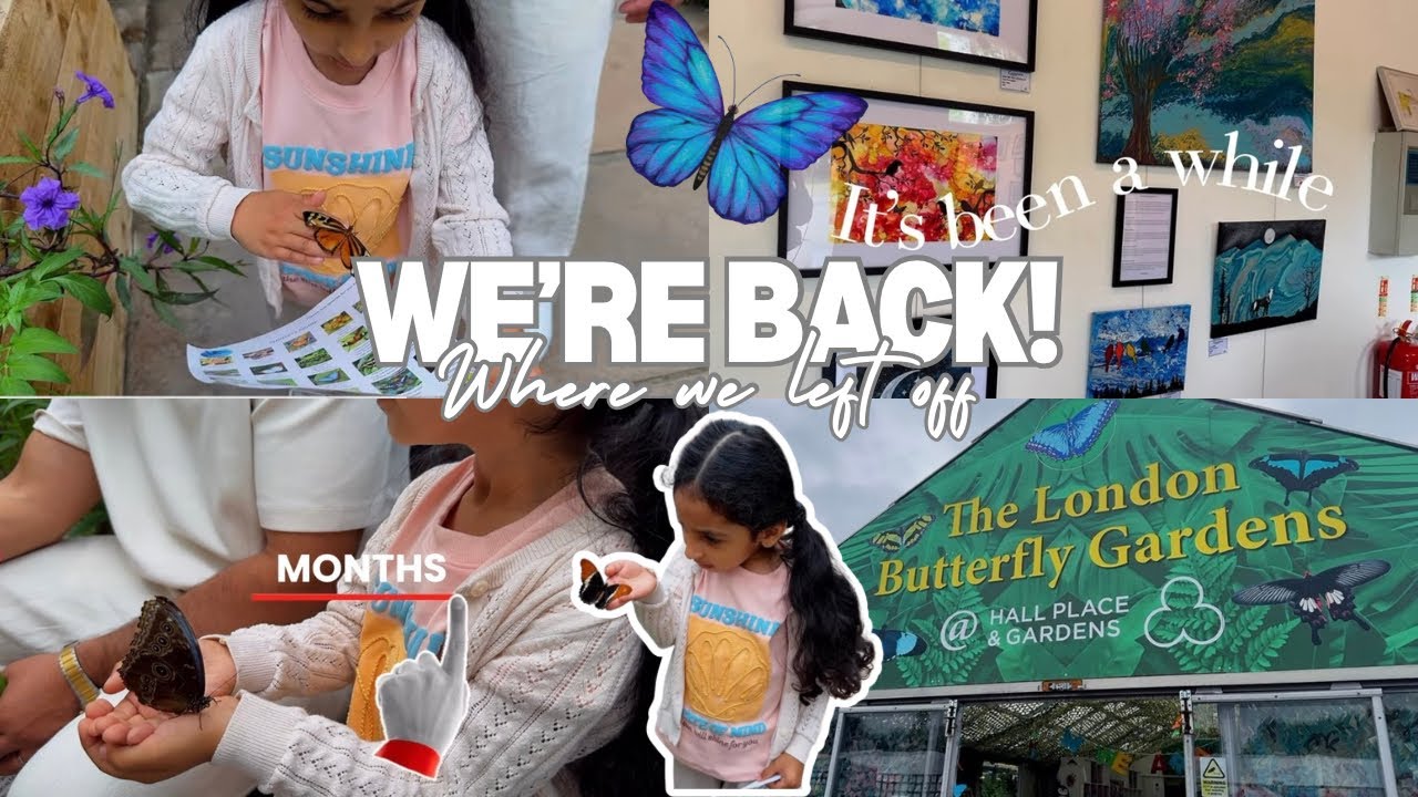 We’re Back After 5 Months! Taking You Back to the Summer Where We Left Off 🦋