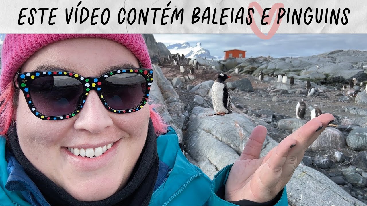 MAQUI NA ANTÁRTIDA PARTE 2: MUITAS BALEIAS, MUITOS PINGUINS! • Maqui Nóbrega