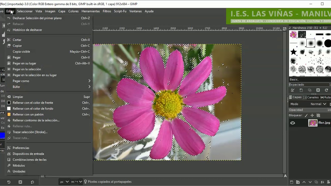 Herramienta Selección de primer plano en gimp #yomequedoencasa