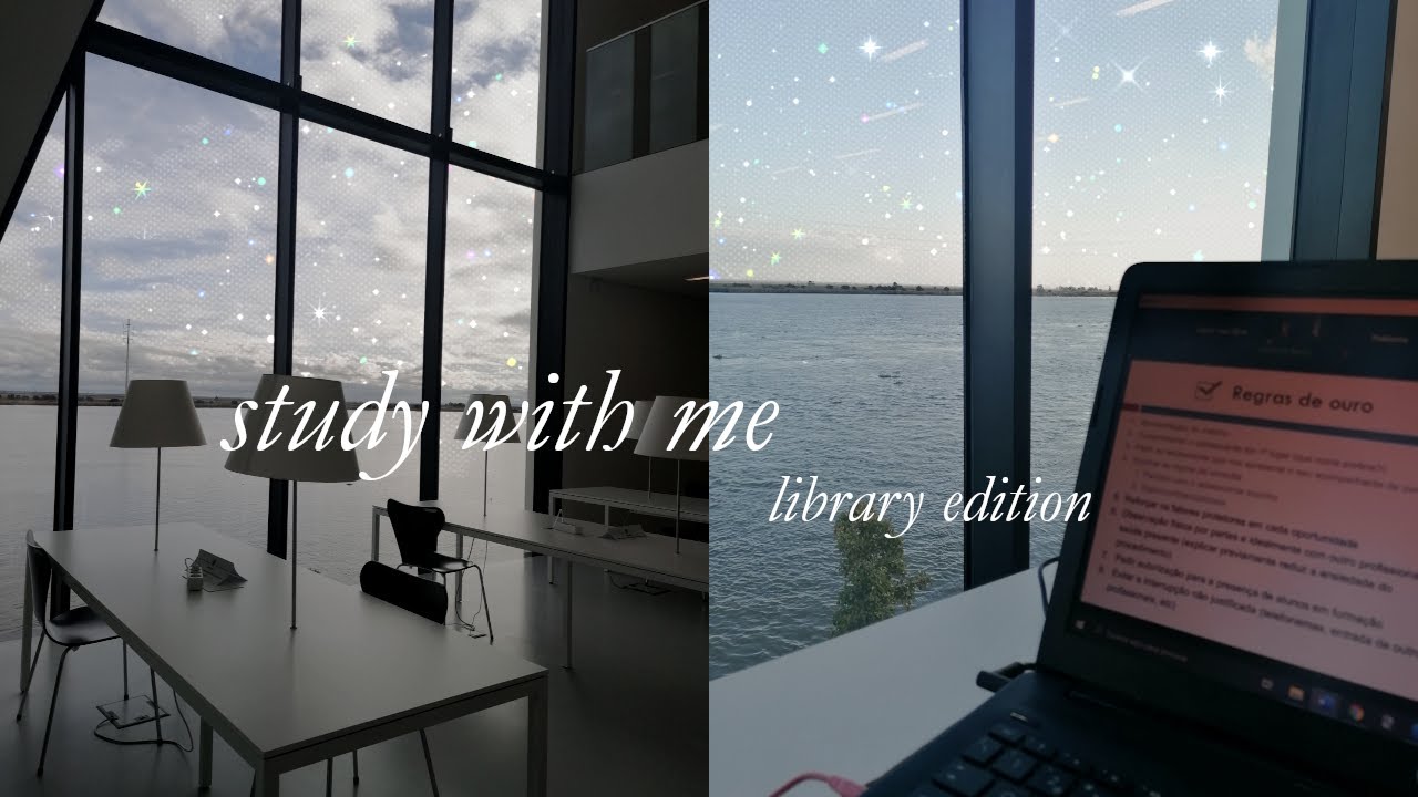 Study With Me at the Library (no music)