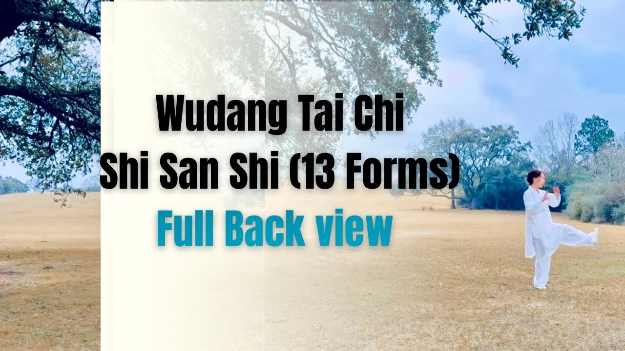 Wudang Tai Chi Shi San Shi ( 13 Forms) Full Back View 
