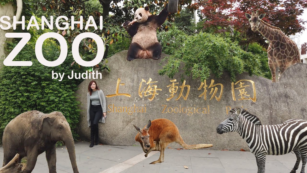 SHANGHAI ZOO - Conociendo CHINA