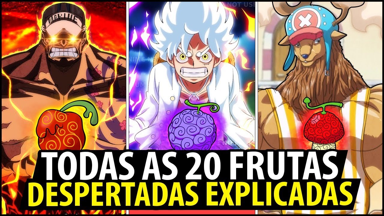 OS 20 USUÁRIOS DE FRUTAS DESPERTADAS EXPLICADOS! – TODAS AS AKUMA NO MI DESPERTADAS DE ONE PIECE