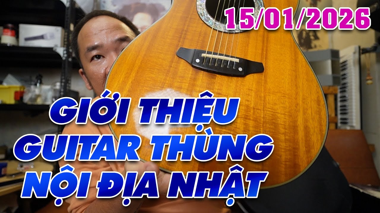 GIỚI THIỆU GUITAR THÙNG NỘI ĐỊA NHẬT HÀNG TUYỂN CHỌN NGÀY 15/01/2026