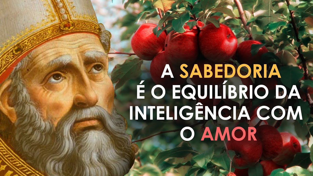 COLHEMOS OS FRUTOS QUE PLANTAMOS | Agostinho de Hipona