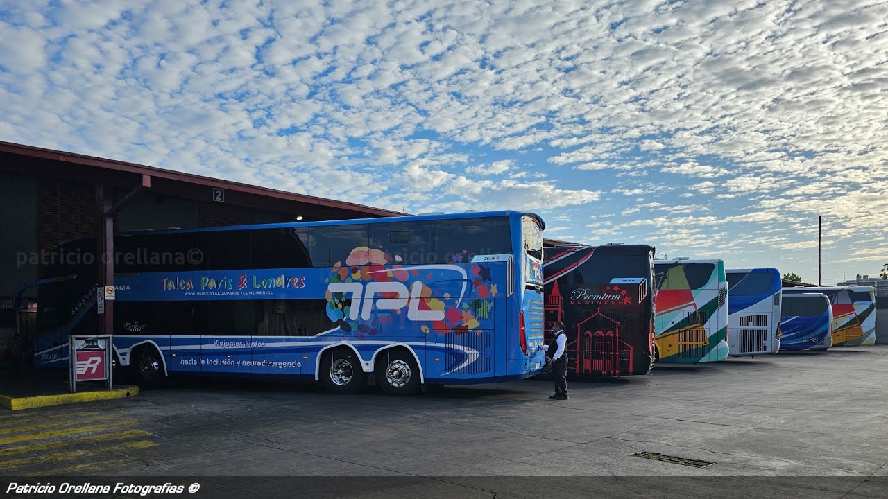 buses en el terminal rodoviario de talca | altas cumbres, TPL, turbus, contimar, linatal, etm y más