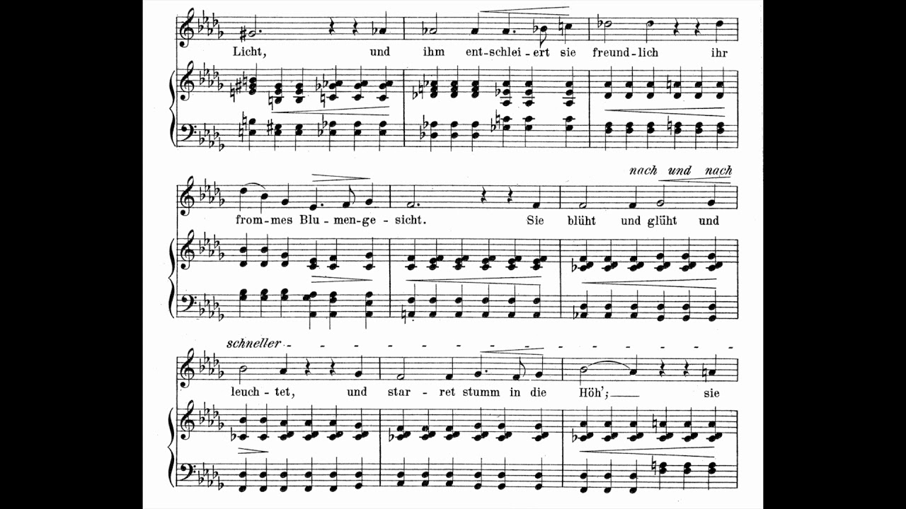[R. Schumann] Die Lotosblume Accompaniment (low voice, D-flat Major)