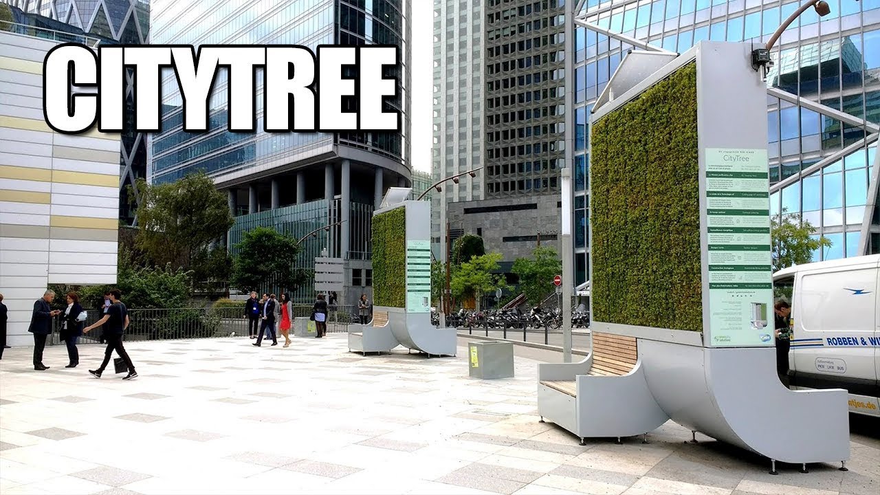 CITY TREE, A TECNOLOGIA PARA LIMPAR O AR DA CIDADE