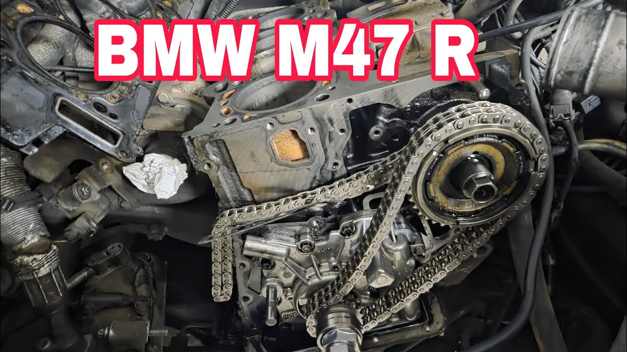 ✅️BMW E46# CANEDA DE DISTRIBUCION/ Y UN INYECYOR ROTO\DESMONTAMOS CULATA