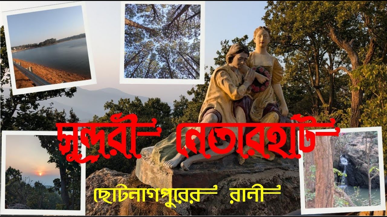 Netarhat Tour Plan | Netarhat Tour Guide |Weekend Tour | নেতারহাট ভ্রমণ গাইড