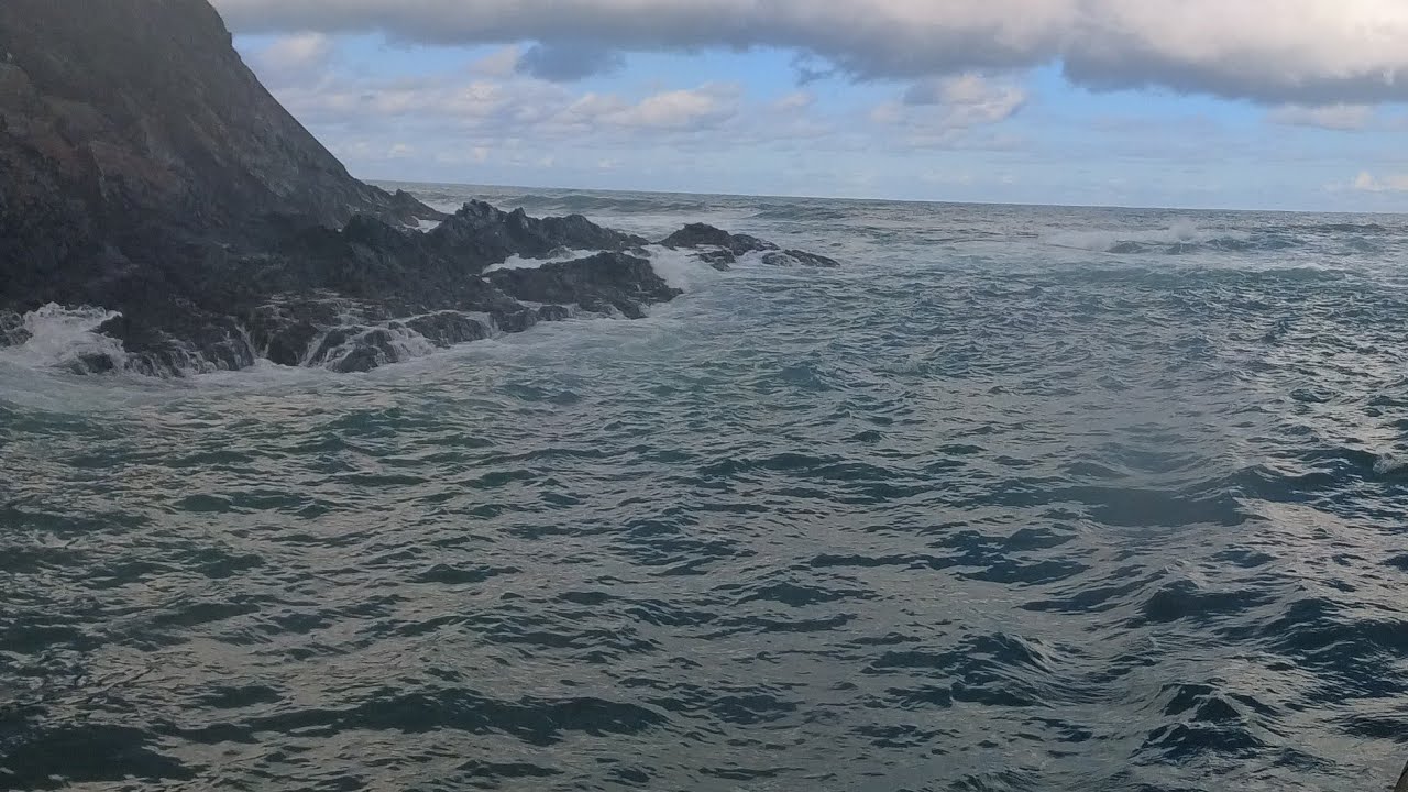 Pesca  a pique con sardina