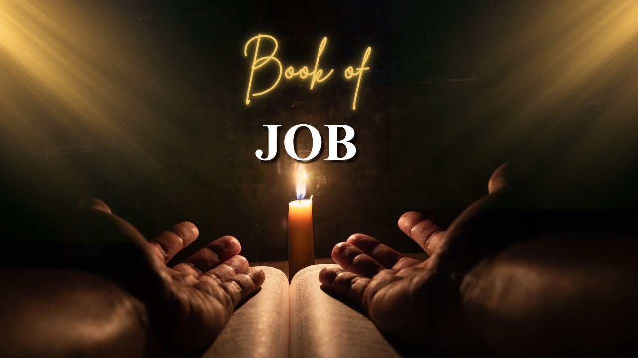 Day 208: Job 41-42. Read Your Bible With Me Anjelique In One Year! #biblestudy #holybook #job #fypシ 