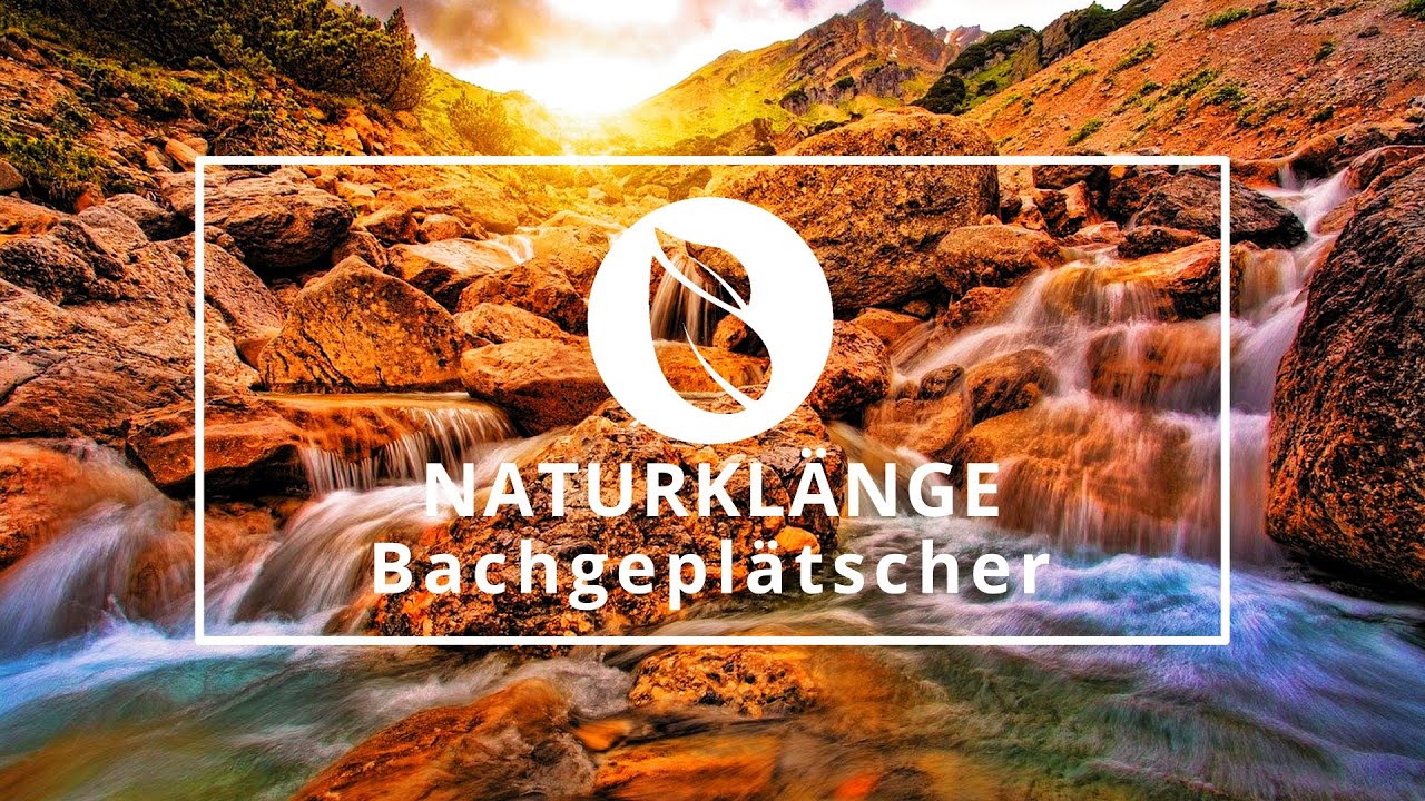 Bachgeplätscher| Naturklänge | einschlafen und Entspannen mit Bachrauschen | Beruhigung der Natur