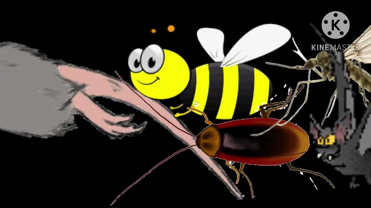 Cool animals