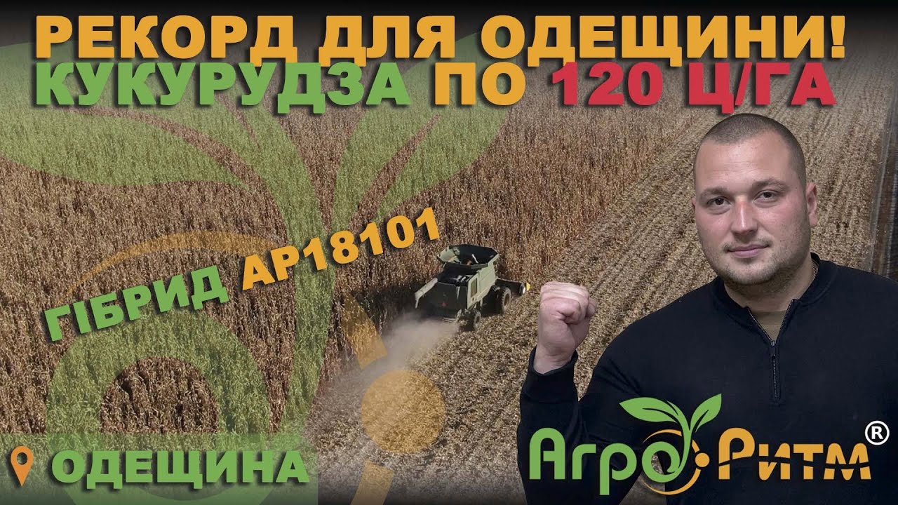 РЕКОРД ДЛЯ ОДЕЩИНИ!КУКУРУДЗА ВАЛИТЬ ПО 120Ц/ГА!ГІБРИД АР18101, МАНІФІК!JOHN DEERE 9760