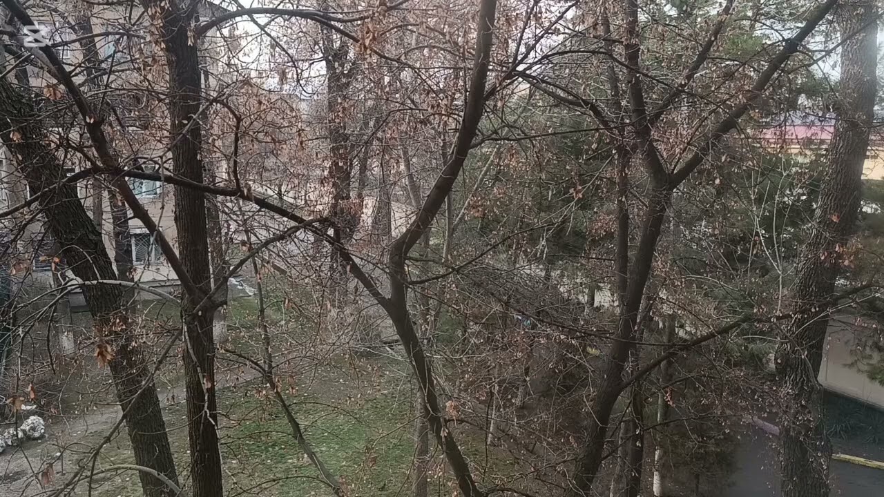 Бакара сураси хакидаги самарали,хосиятли фактлар